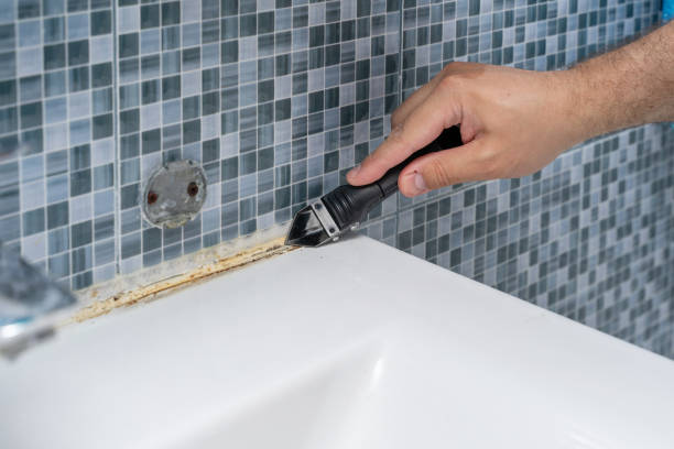 Best Mold Damage Repair  in Fort Wayne, IN